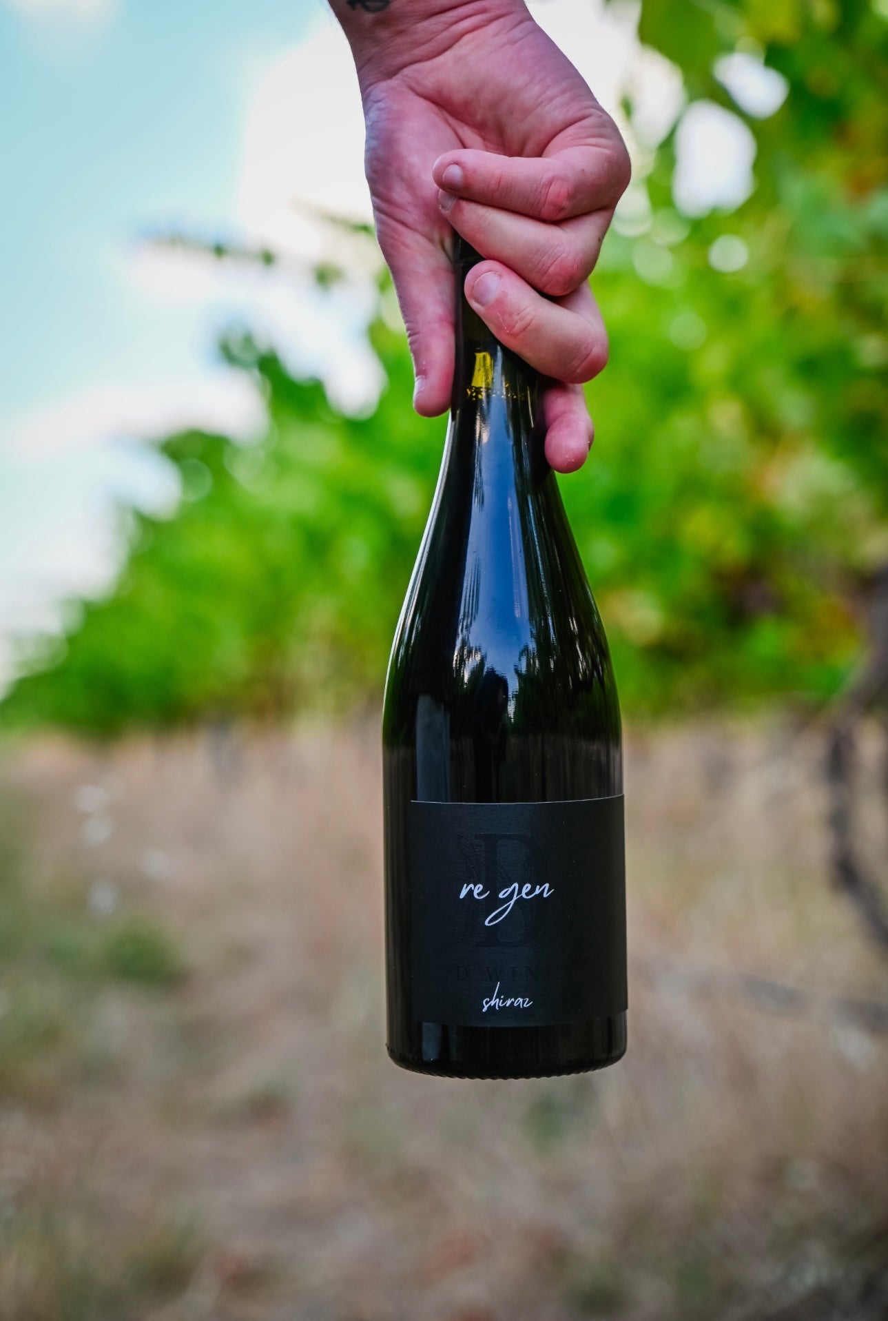 re gen Shiraz